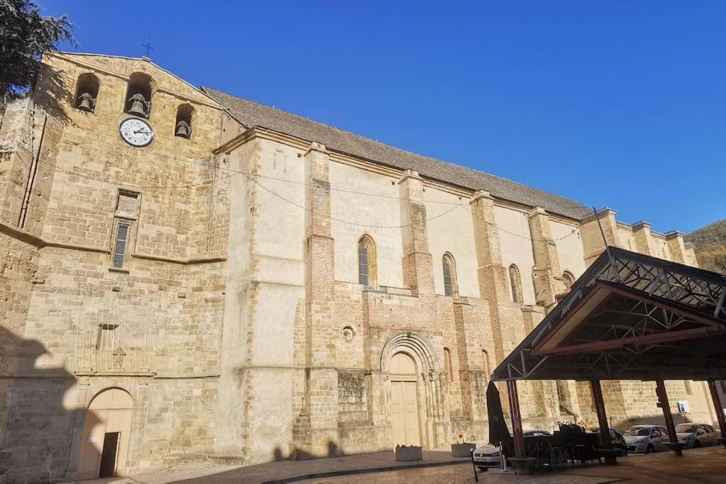 Charmant Appartement Centre Historique De Foix Dış mekan fotoğraf